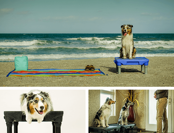 Blue-9 Pet Products